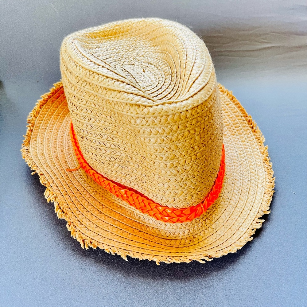 Express Fedora Hat